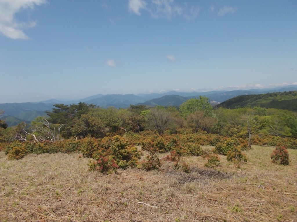 11：27　山頂手前の広場。