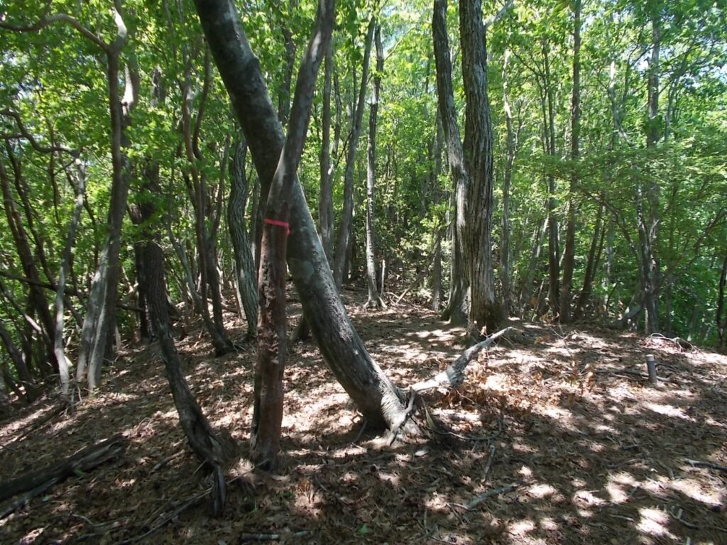 12：11　赤テープがありました。これで大丈夫