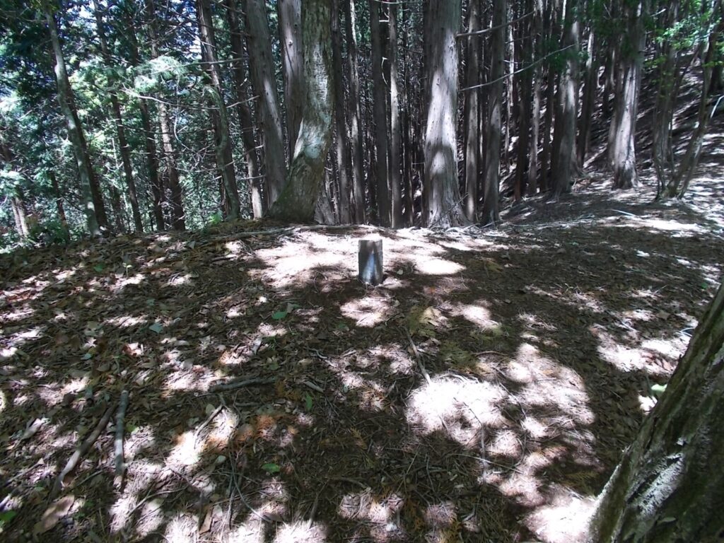 12：15　市境杭かな？