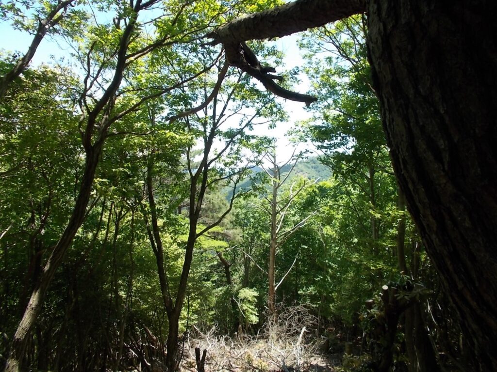12：22　山頂から見える景色