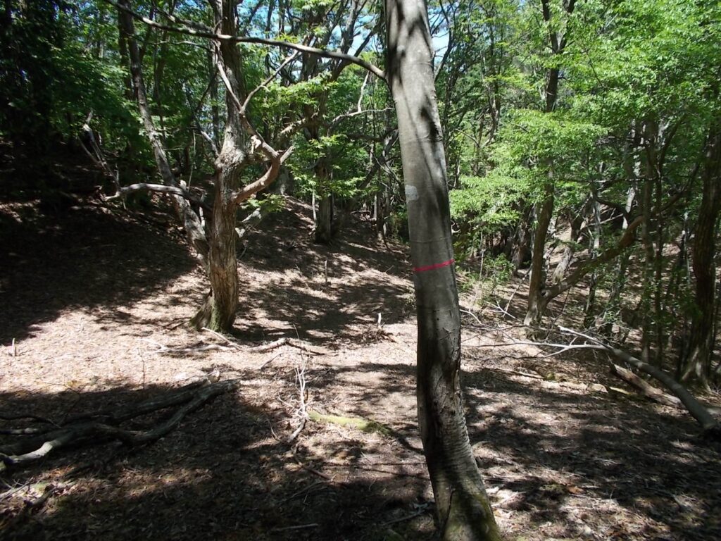 12：25　テープを追って進みます。