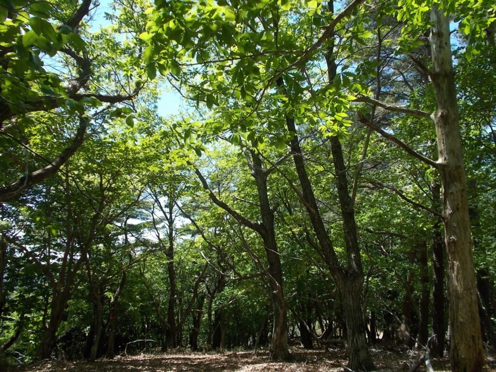 12：28　こちらも