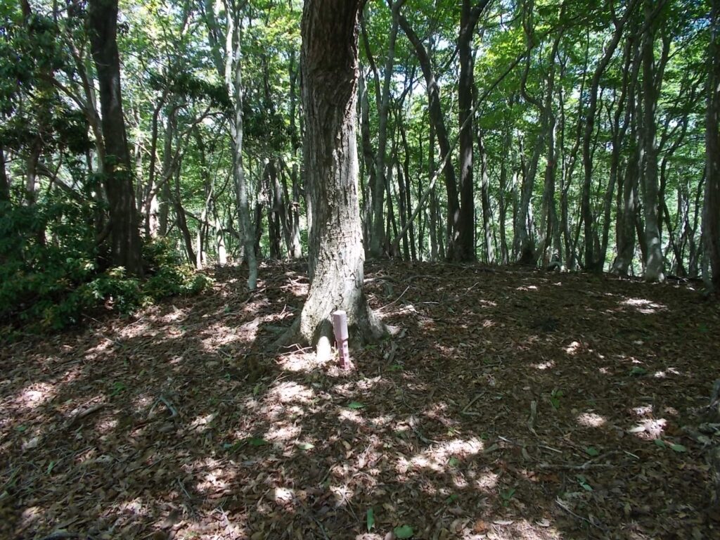 12：46　こんな杭も。