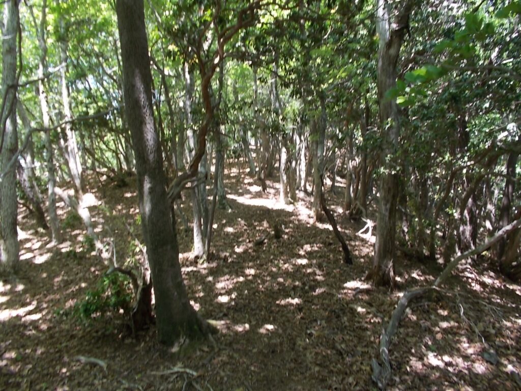 12：52　さらに進みます。