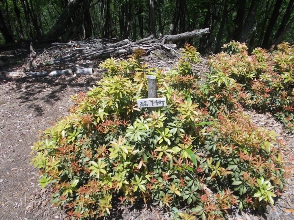 13：08　点名　下千町