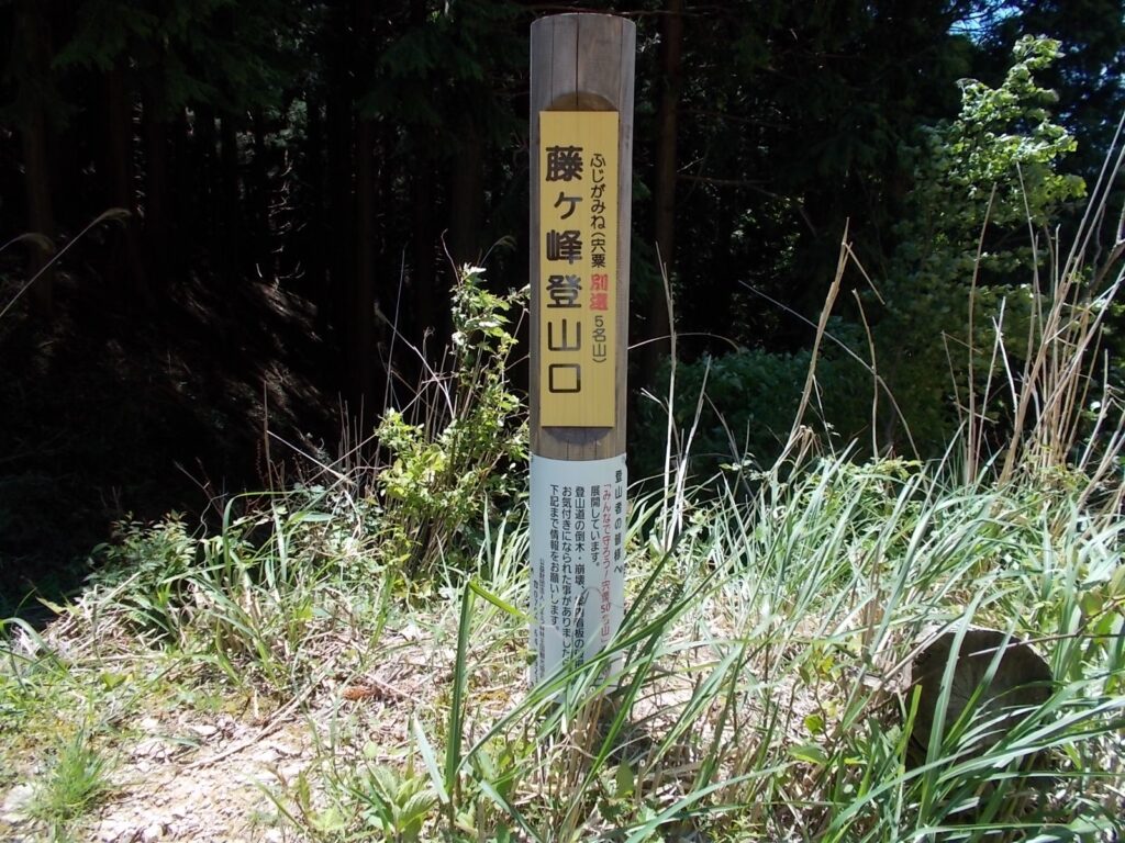 13：19　山頂からひたすら下ると登山口に着きます。