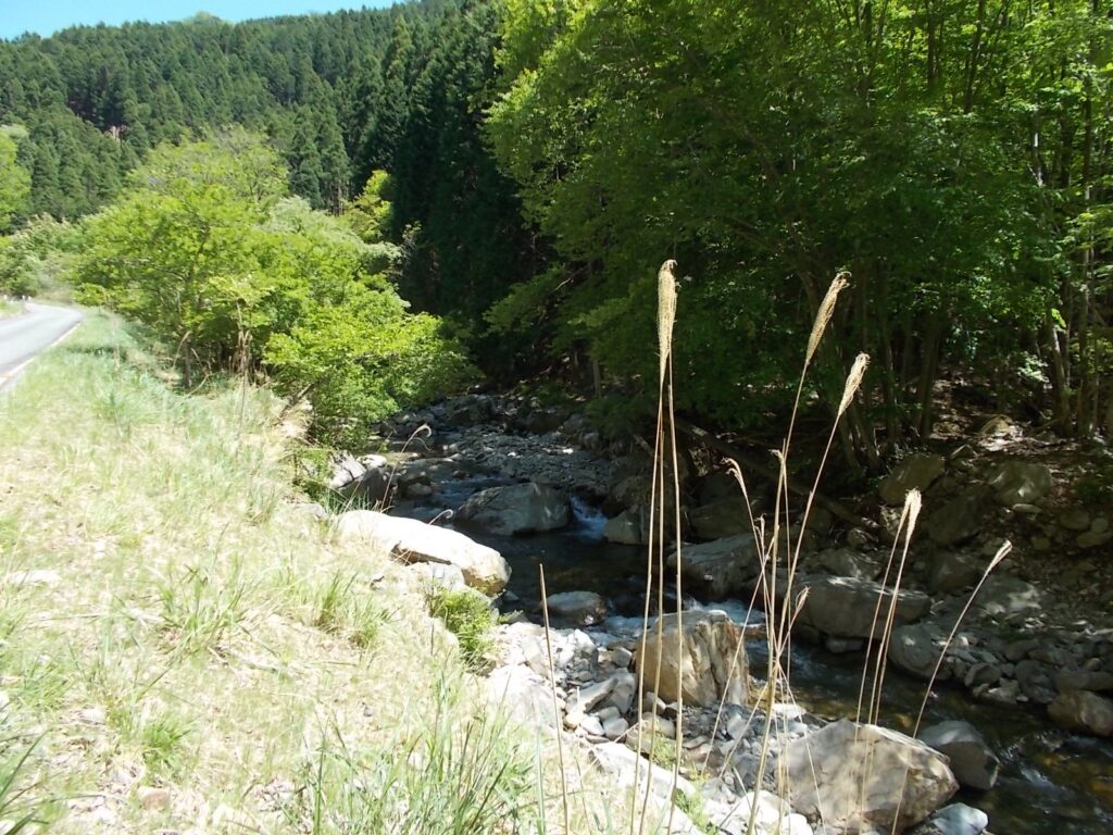 13：37　林道の横を流れる川の様子