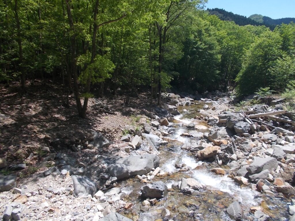 13：37　水音を聞いているとあまり疲れません。