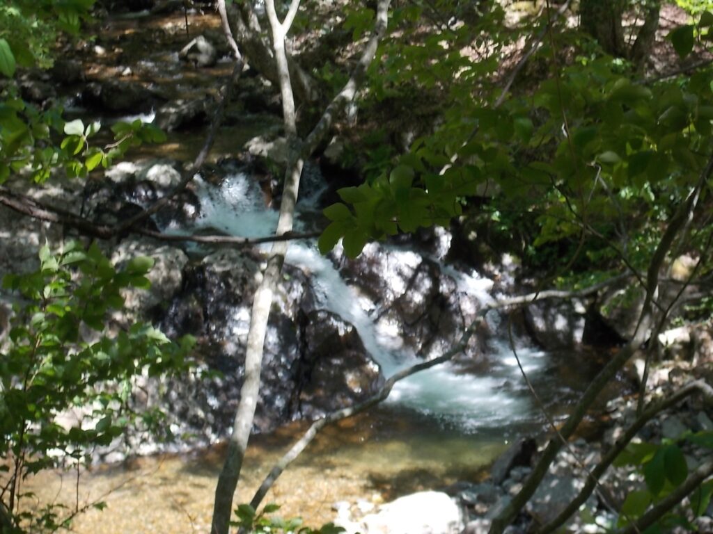 13：53　途中にあった小さな滝。けっこうな水量がありました。