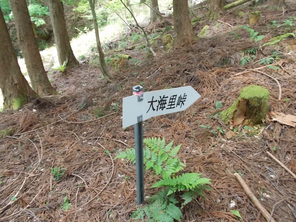 10：38　大海里峠への案内板