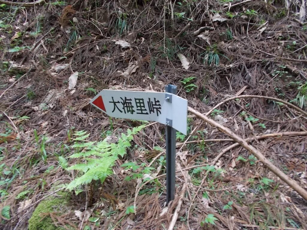 10：42　案内板。