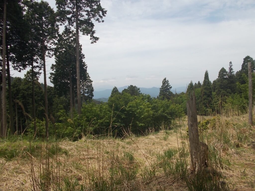 11：09　かすかに那岐山が見えました。