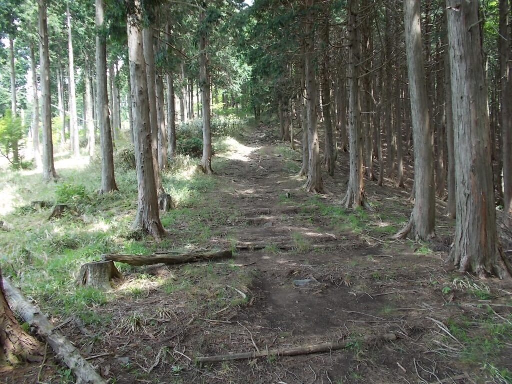 11：10　今回はこちらへ進みます。