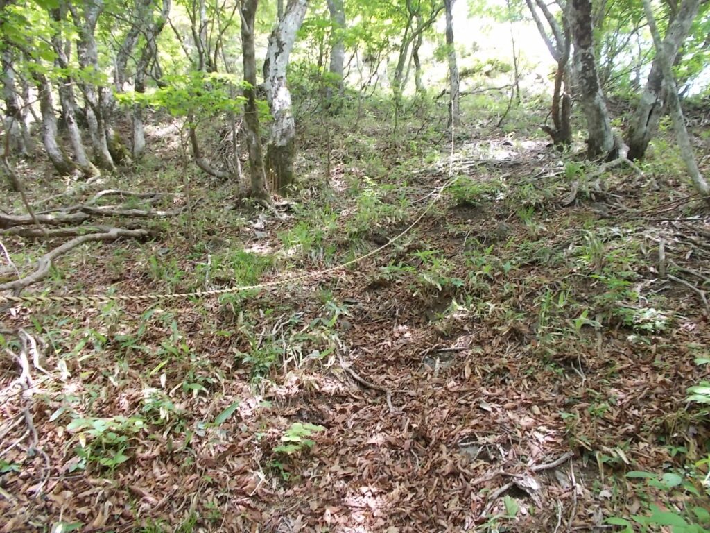 11：14　ロープもありました。