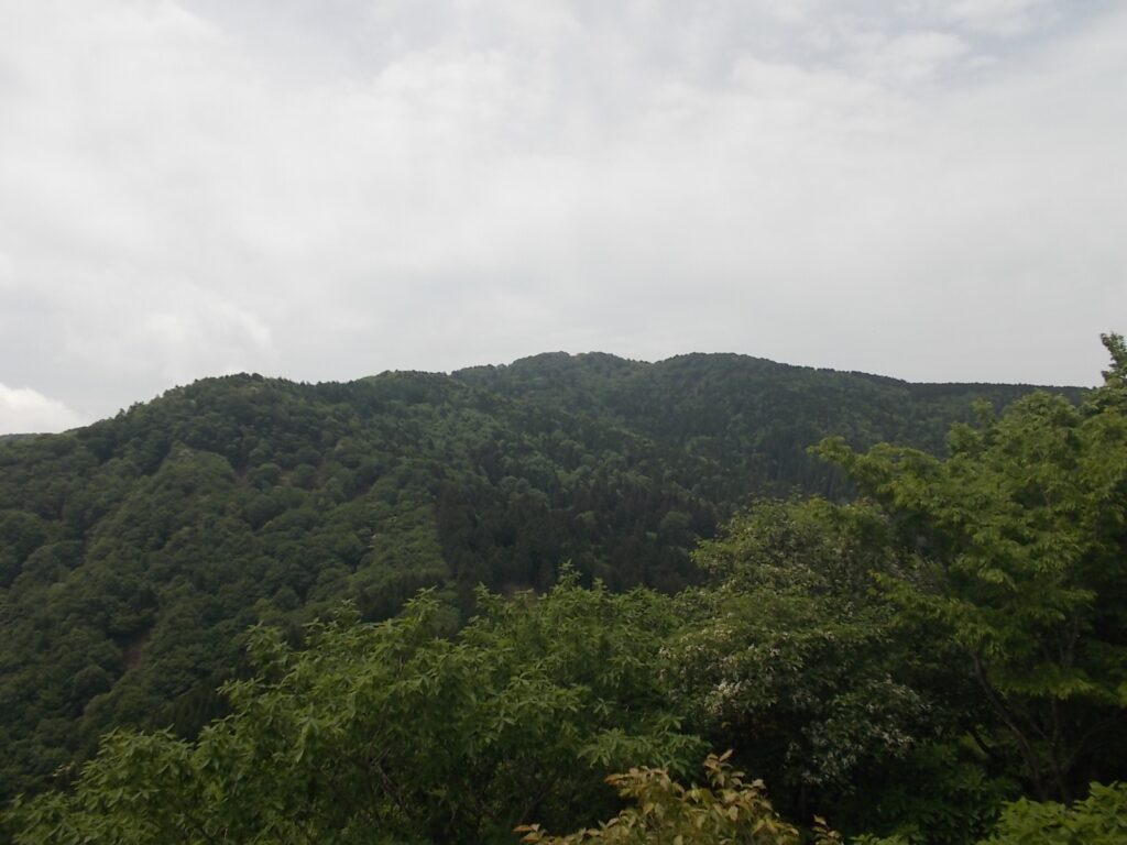 11：21　駒の尾山