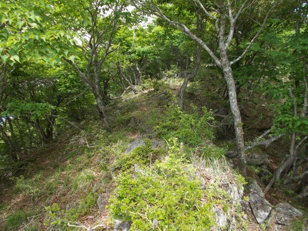 11：17　さらに上ります。