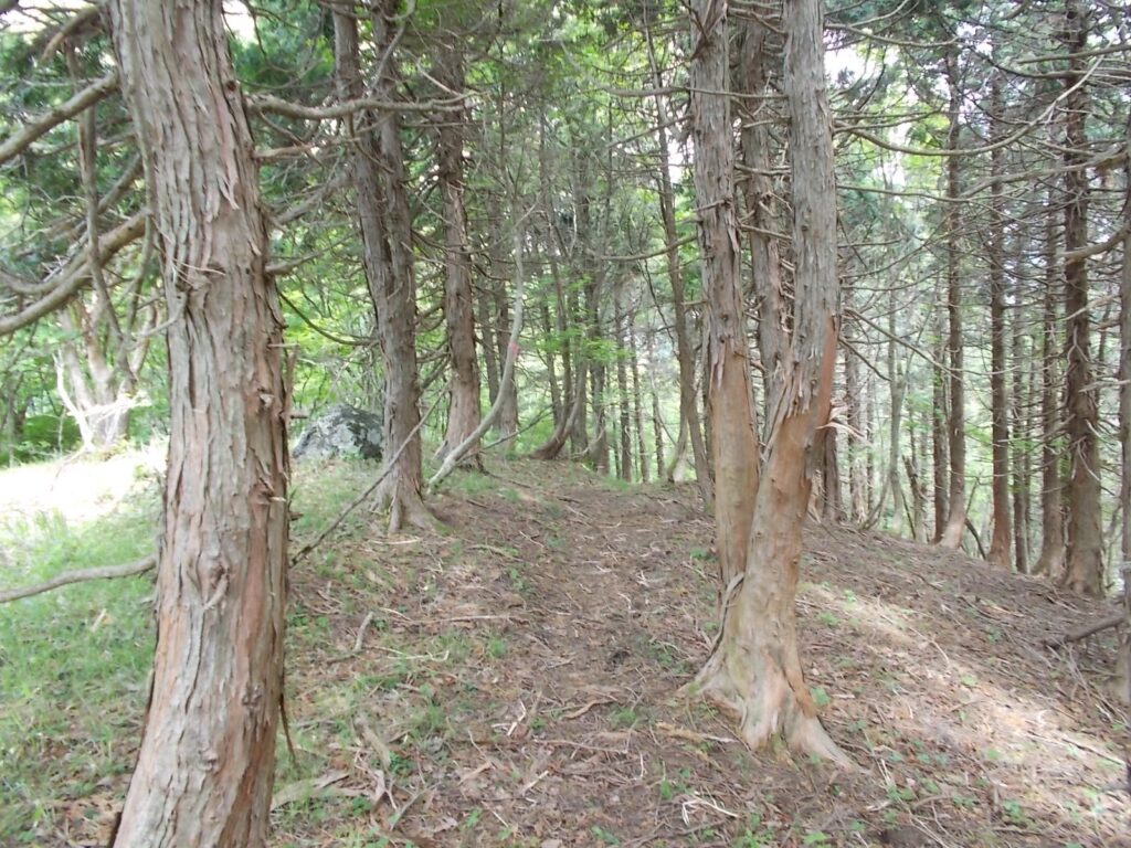 11：22　次へ向かいます。