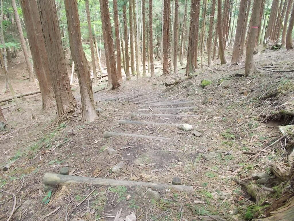 11：30　中国自然歩道に合流しました。