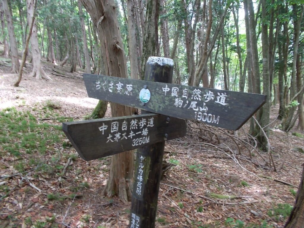 11：31　分岐点