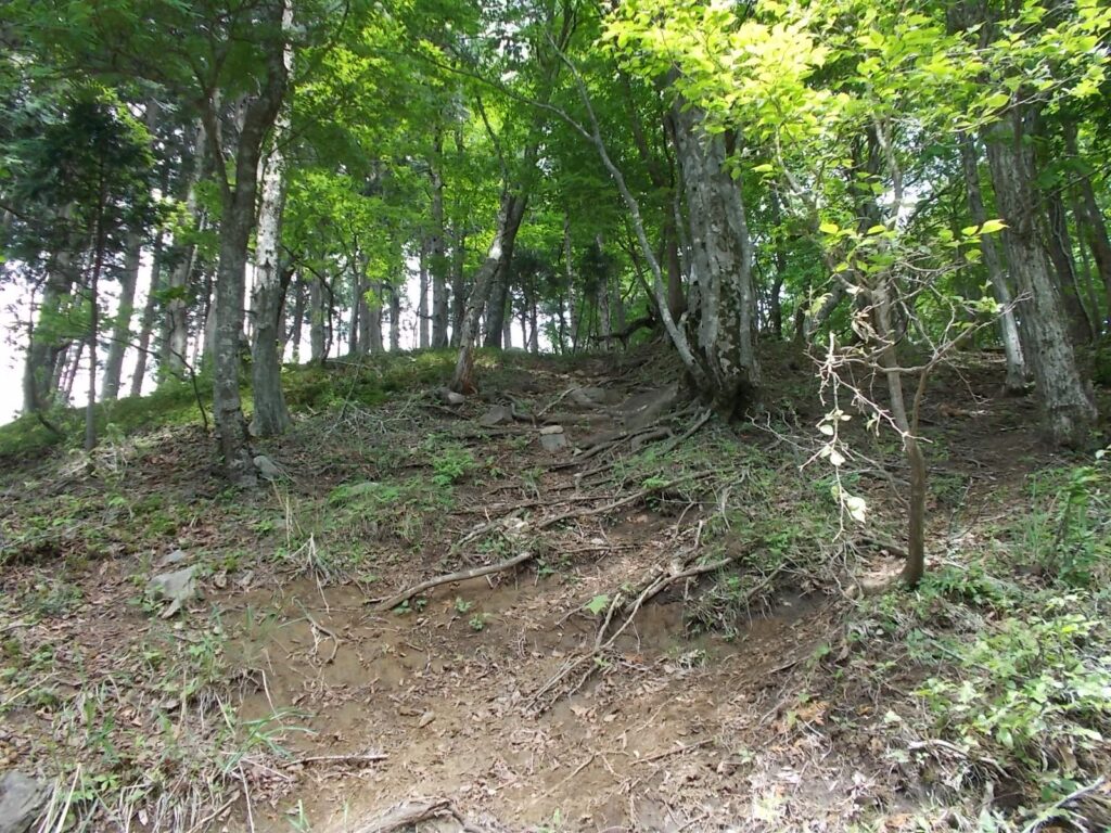 11：33　またまたの急傾斜を上ります。