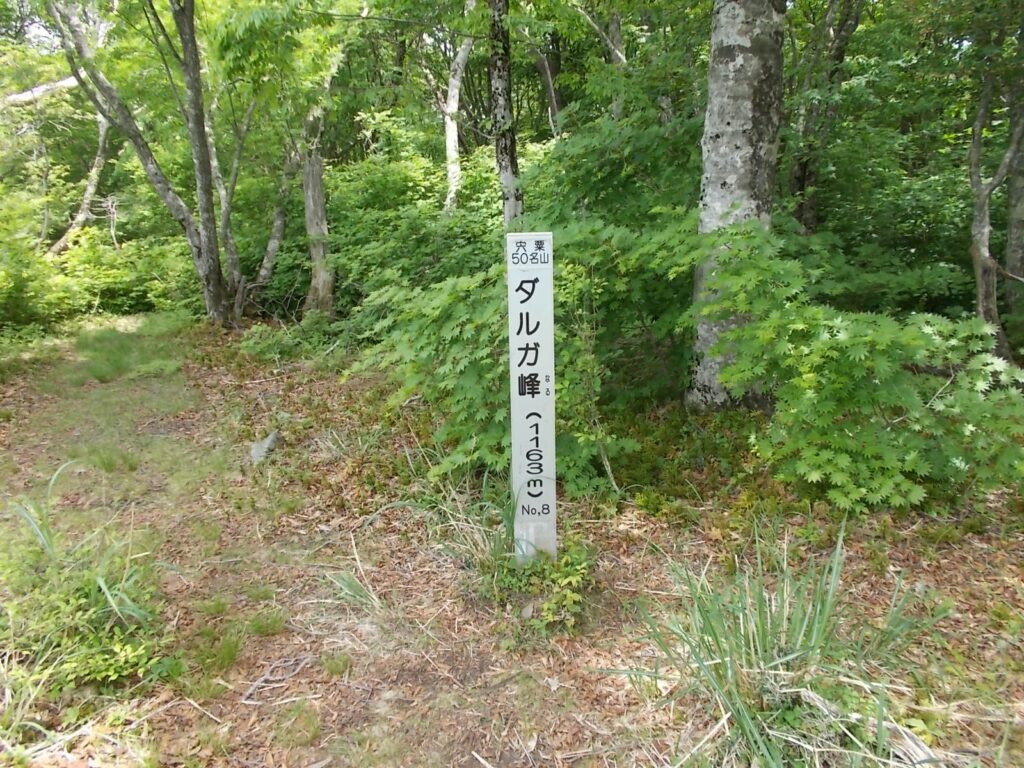 11：35　ダルガ峰に着きました。