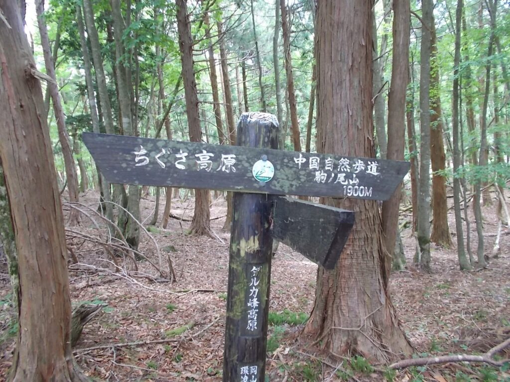 11：41　分岐まで戻りました。ここから斜面を下ります。