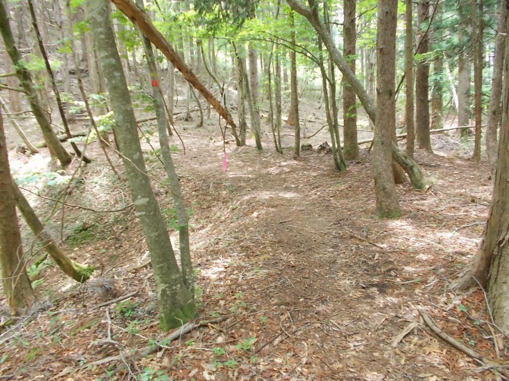 11：59　登山道に戻りました。