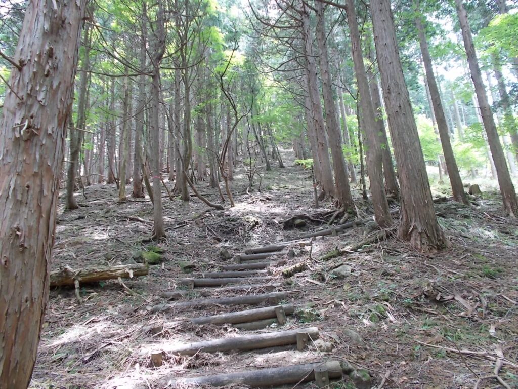 12：00　中国自然歩道から大海里山へ。