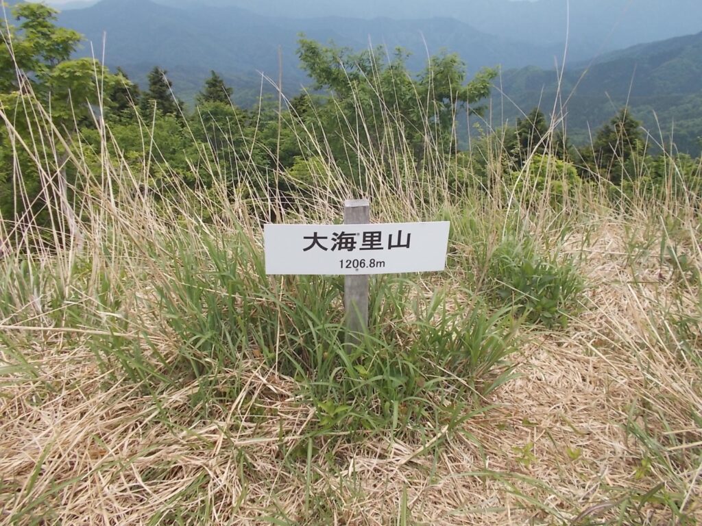 12：09　いったん、大海里山に戻りました。少し戻って人工林から下っていきました。