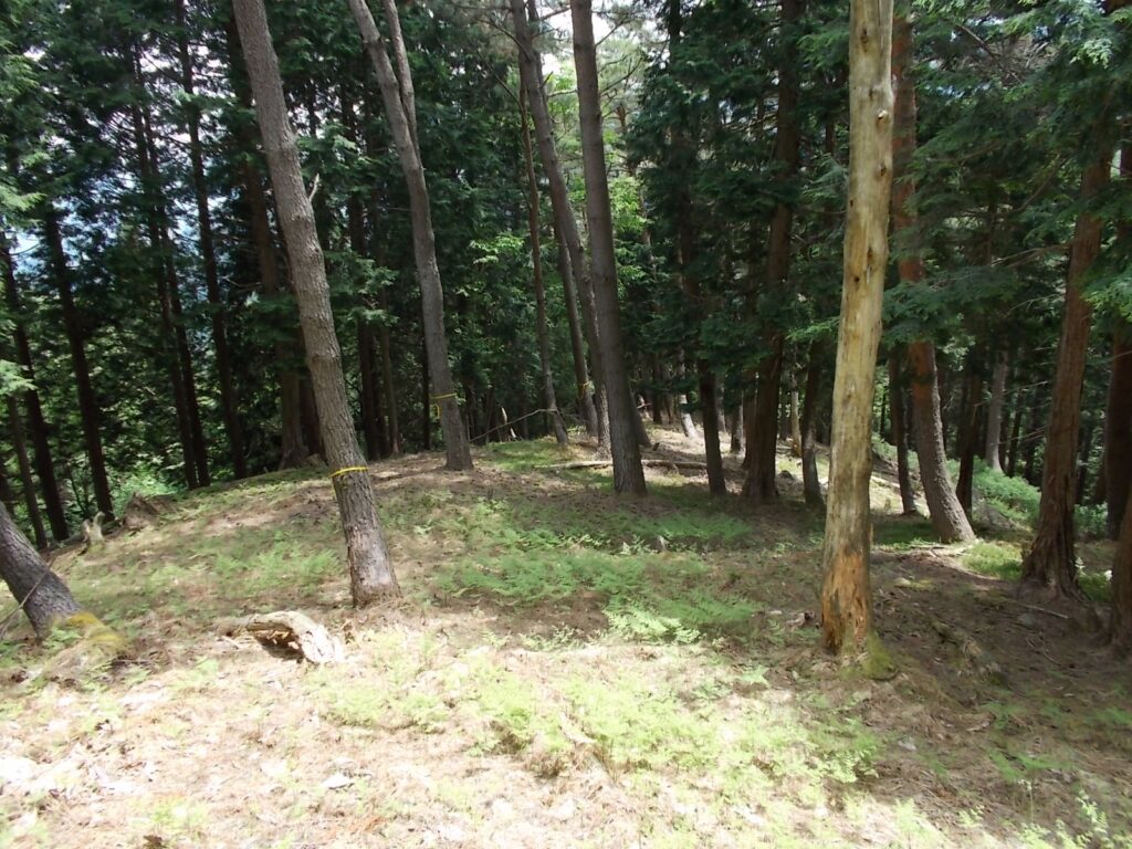 12：20　途中のピーク。