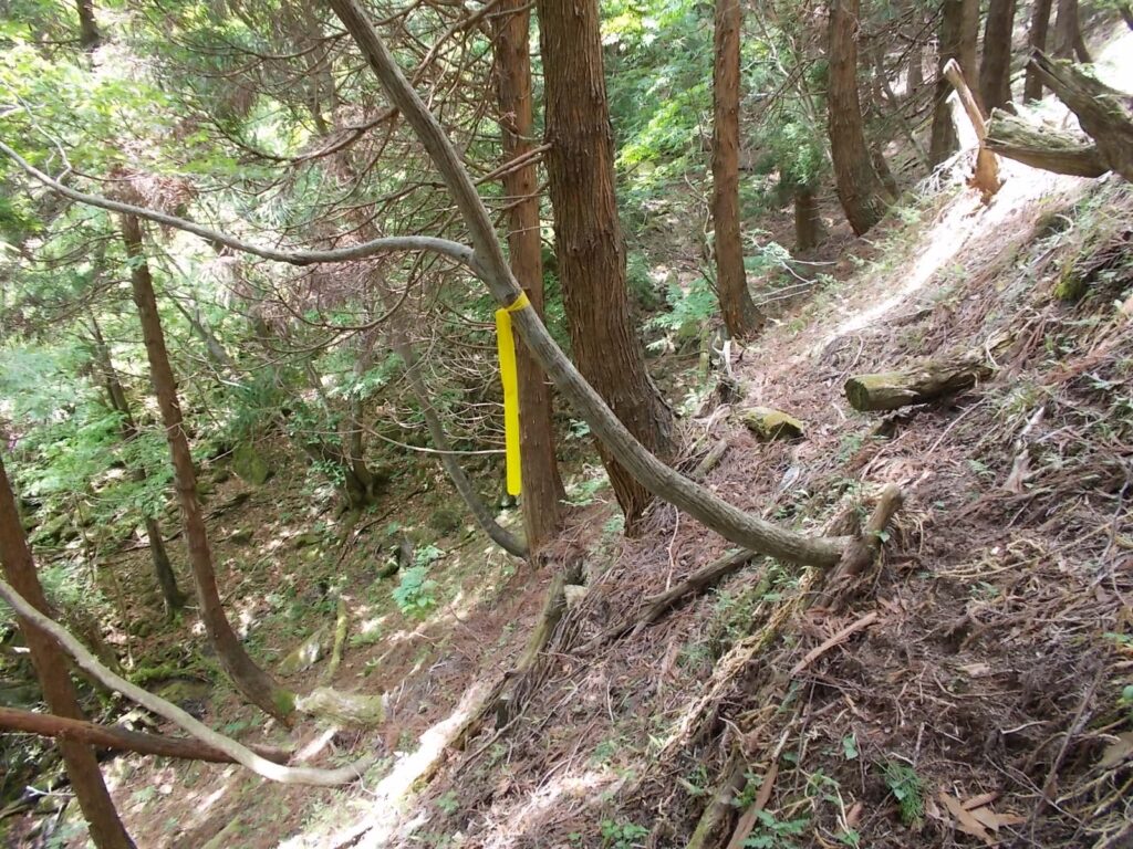 12：23　黄色のテープを追いますが、このあたり、強烈な下りです。