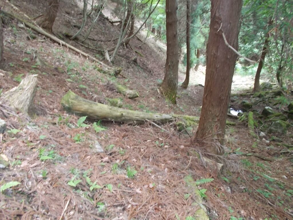 12：27　ようやく登山道に合流しました。