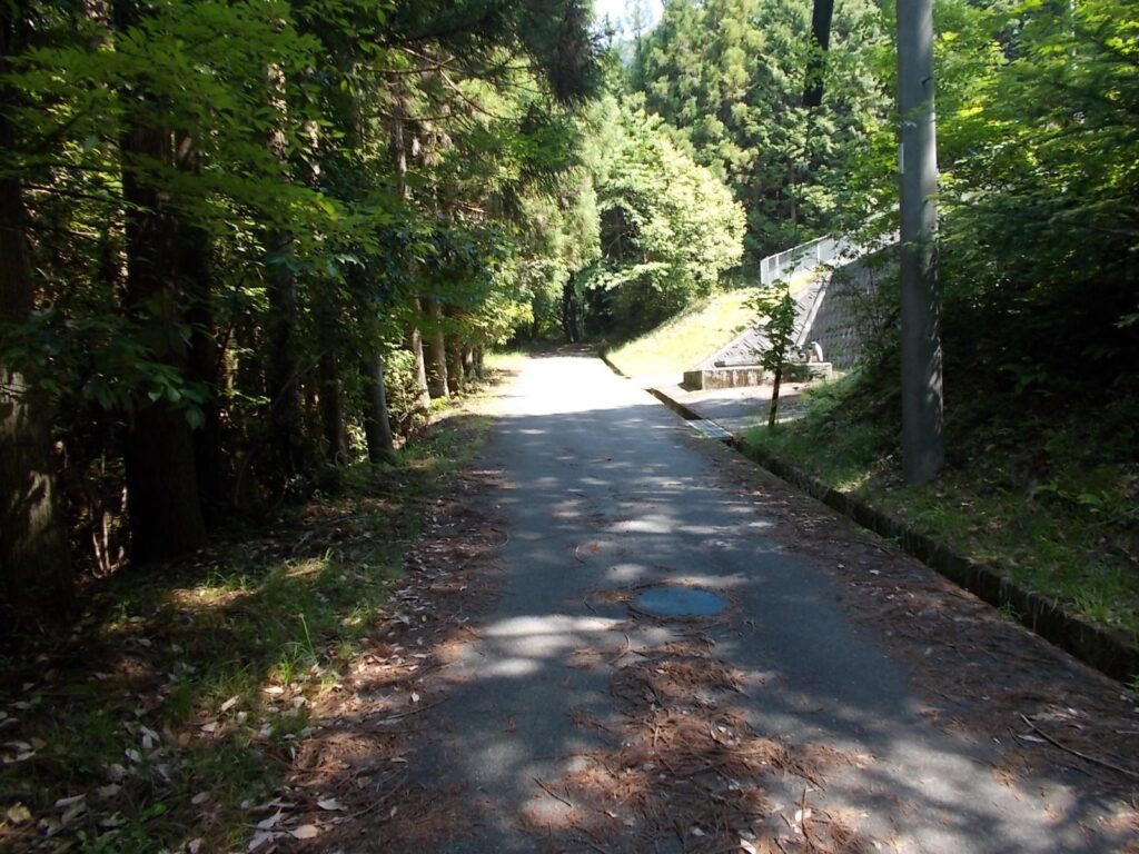 10：02　しばらく林道を歩きます。