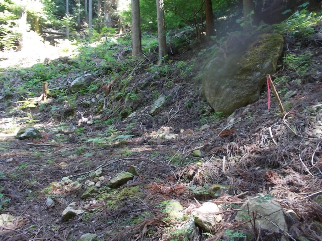 10：11　林道に出て、ここから上っていきます。