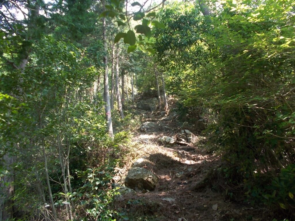 10：30　明るい登山道です。