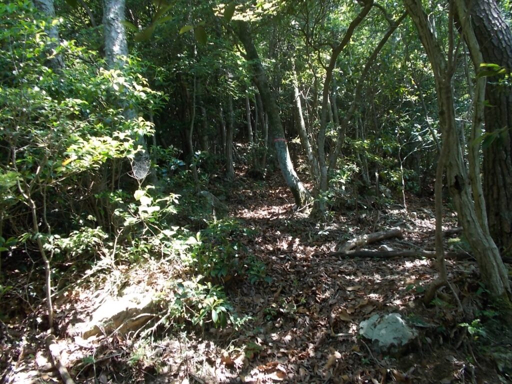 10：43　ここから激上りが始まります。