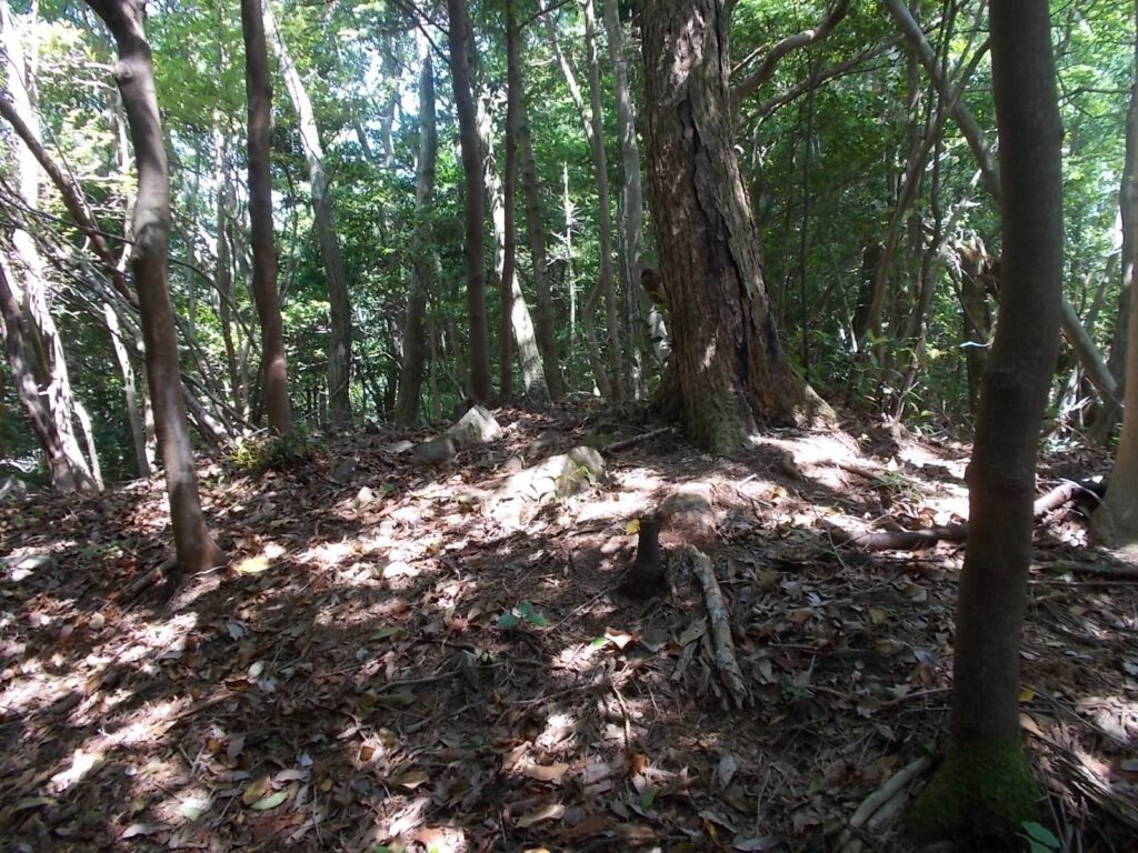 10：51　ピークに到着。まだまだ続きます。