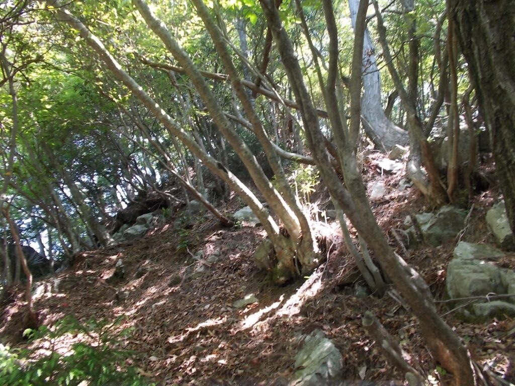 10：53　まだ上ります。