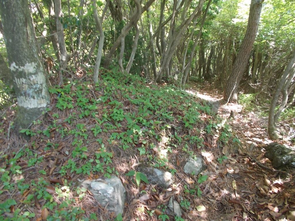 10：54　歩きやすい尾根。