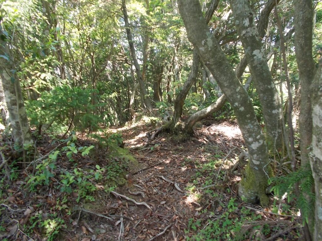 10：59　まだまだ先は長いようです。