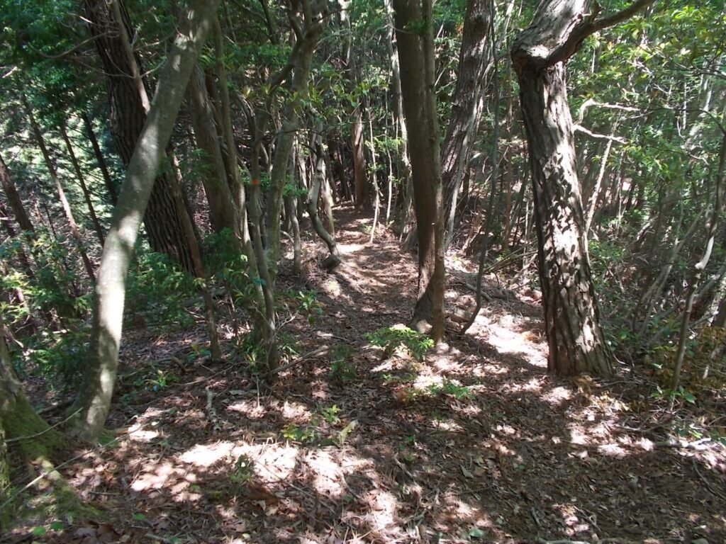 11：00　登山道の様子