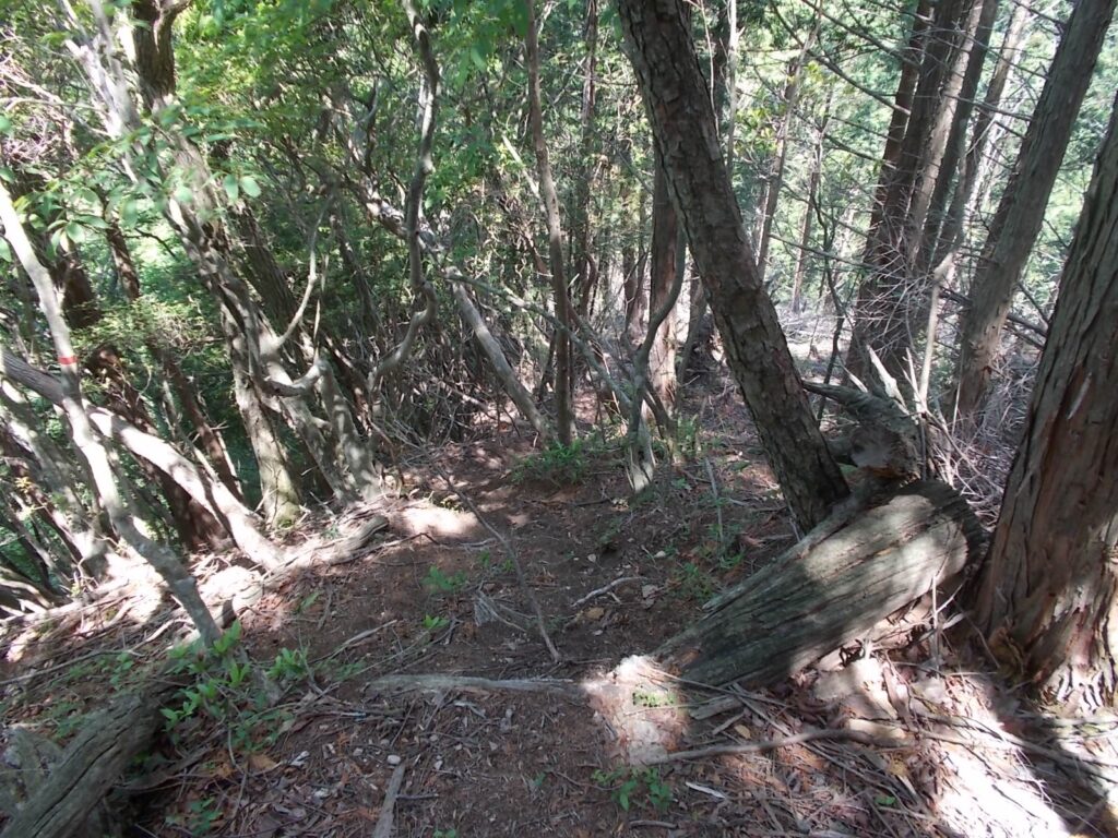 11：06　ここからいったん下ります。