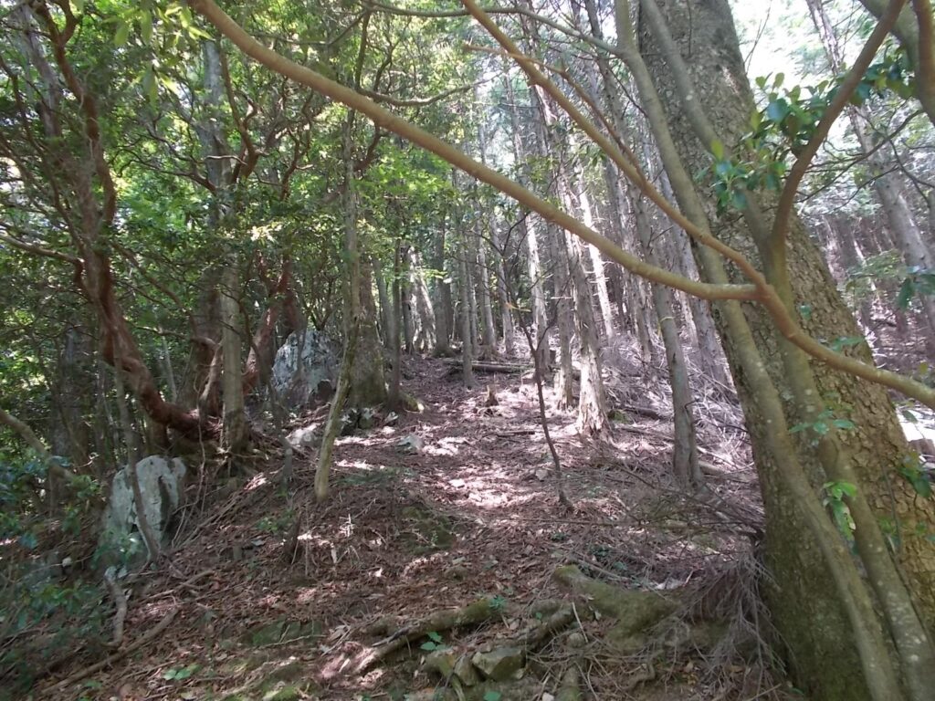 11：21　上り返します。