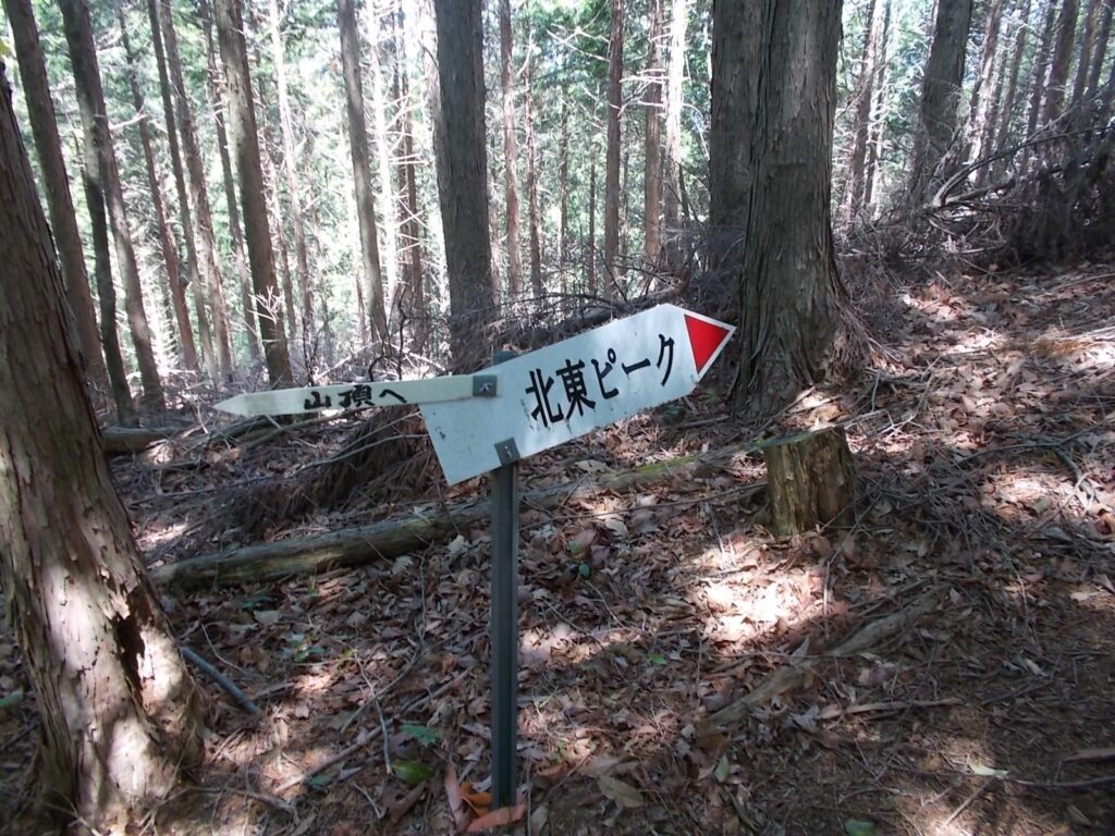 11：29　北東ピークへの分岐。左へ行くと山頂。今回は右の北東ピークへ。