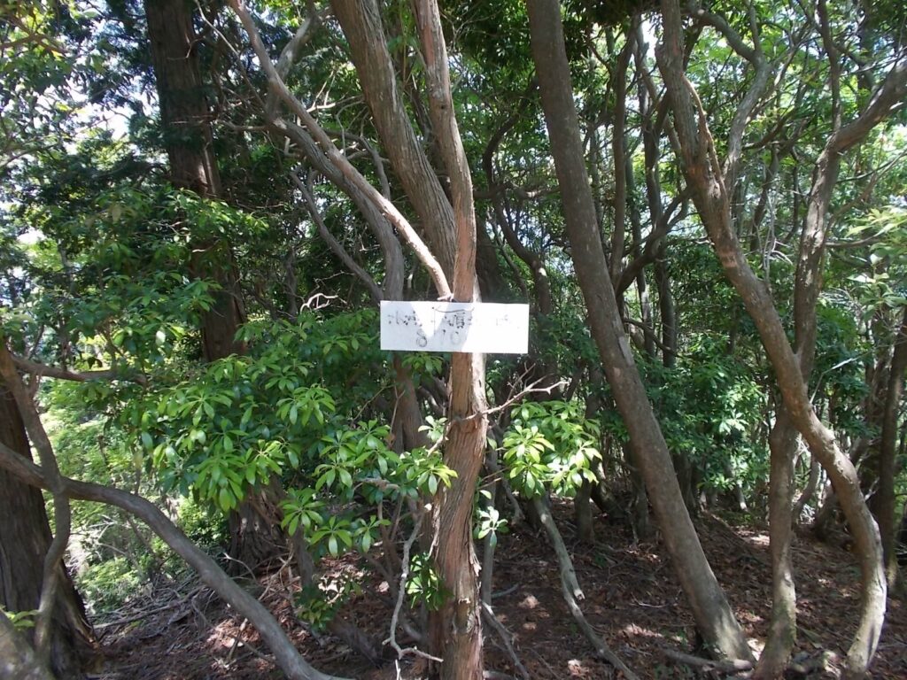 11：36　北西ピーク。すぐに戻ります。