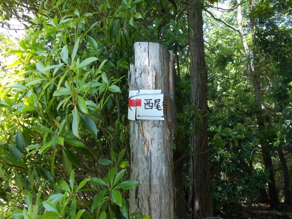 11：46　山頂へ戻り、西尾根ルートで下ります。