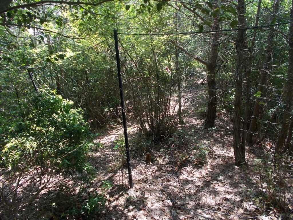 12：28　ネットを抜けます。真ん中に穴が開いてます。