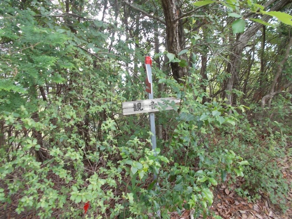 10：05　分岐に戻りました。