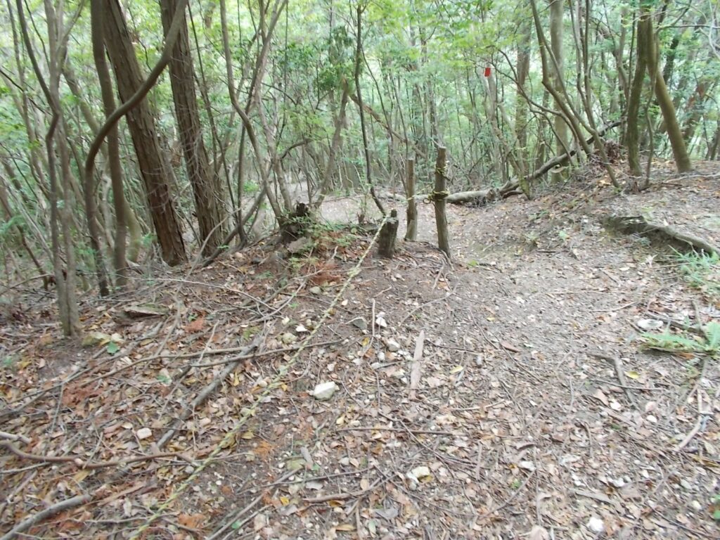 10：05　ここからは、少々下りがきつくなります。