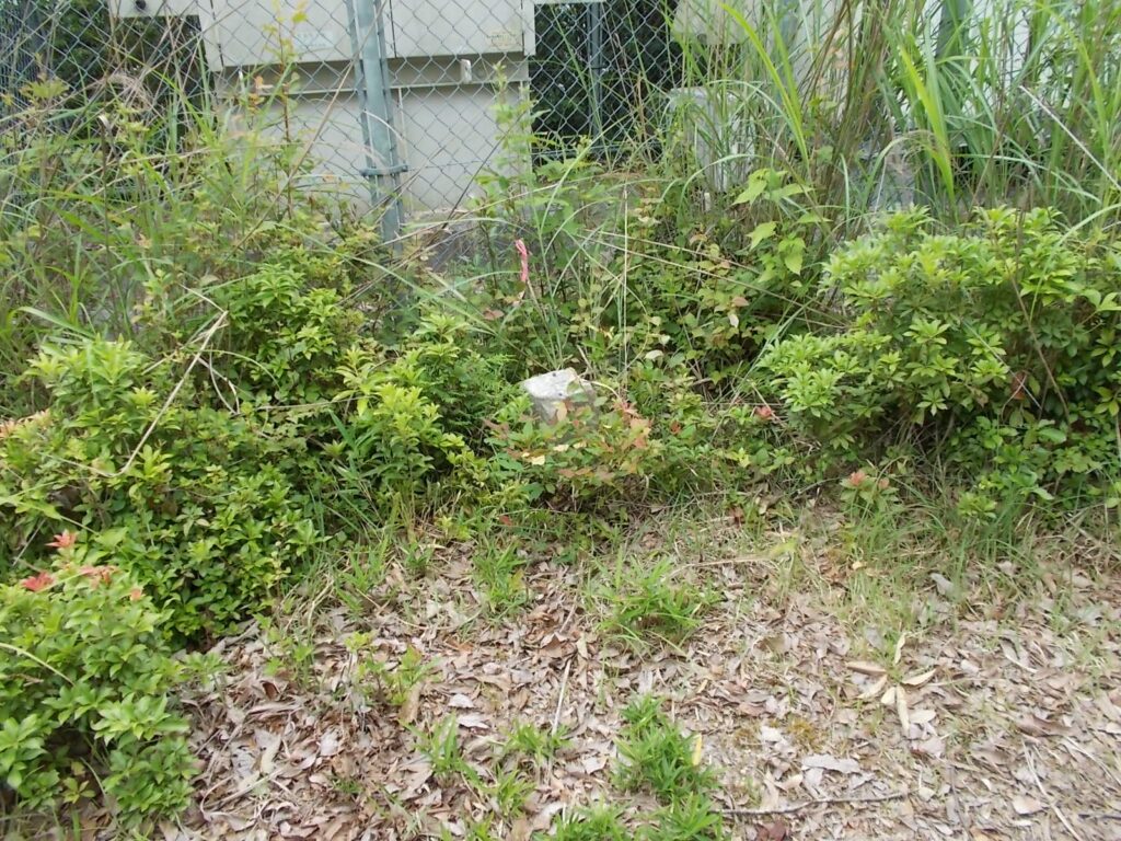 10：26　金網の前にある三角点。山頂表示はありません。